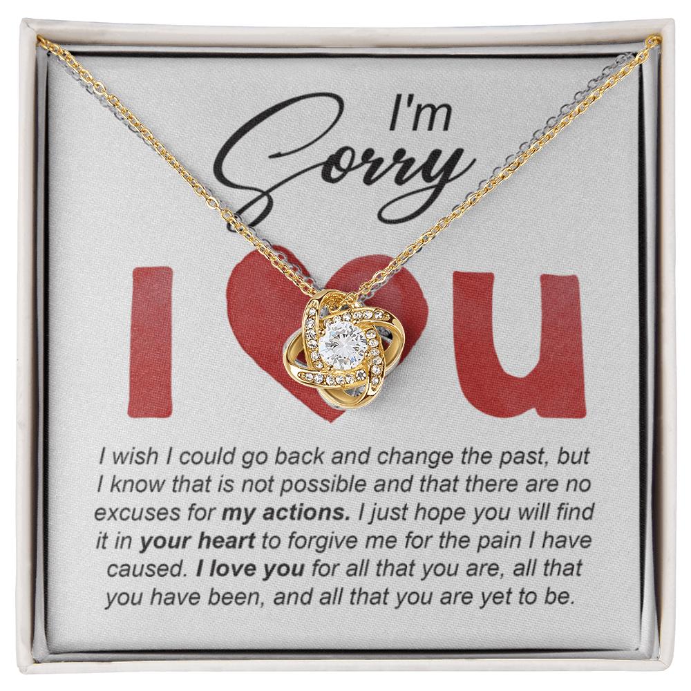 Sorry-Change The Past