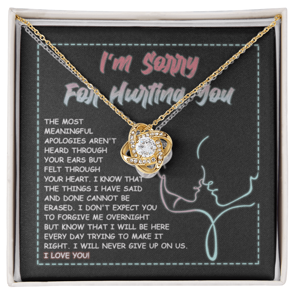 Sorry-Never Give Up
