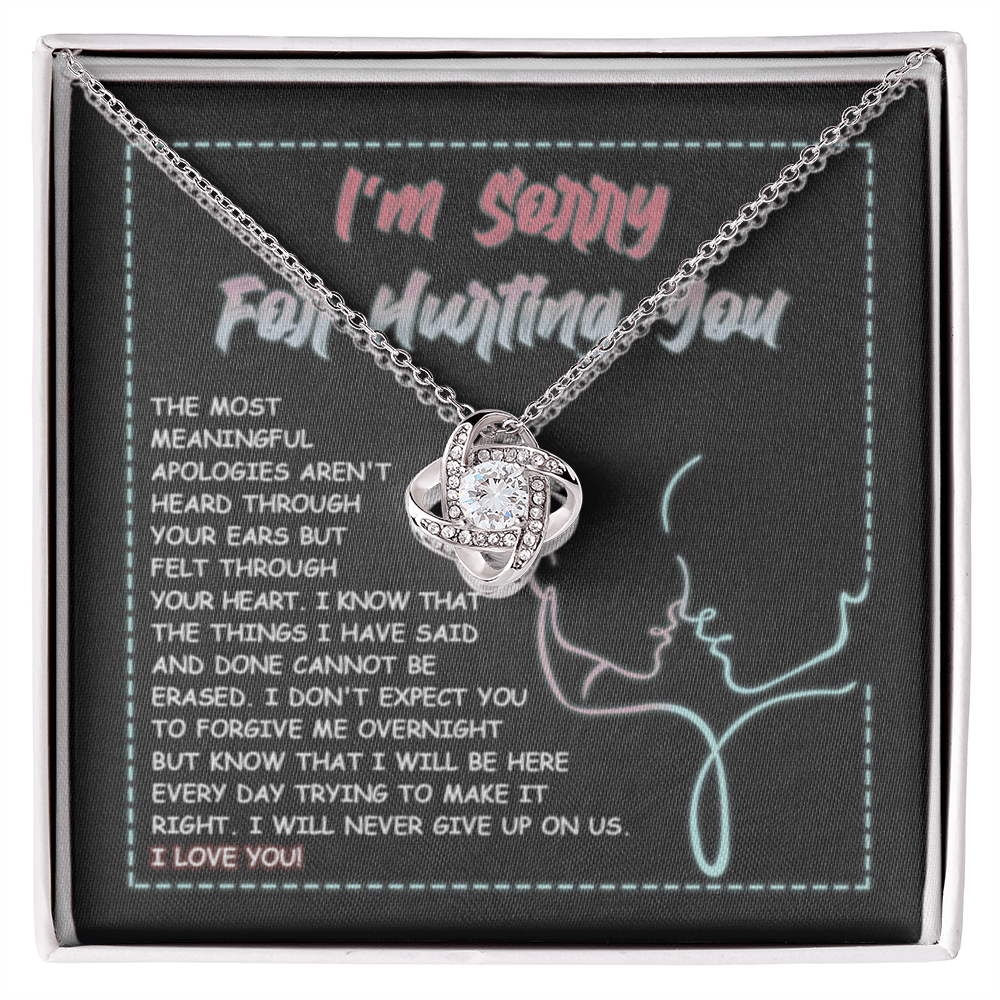 Sorry-Never Give Up