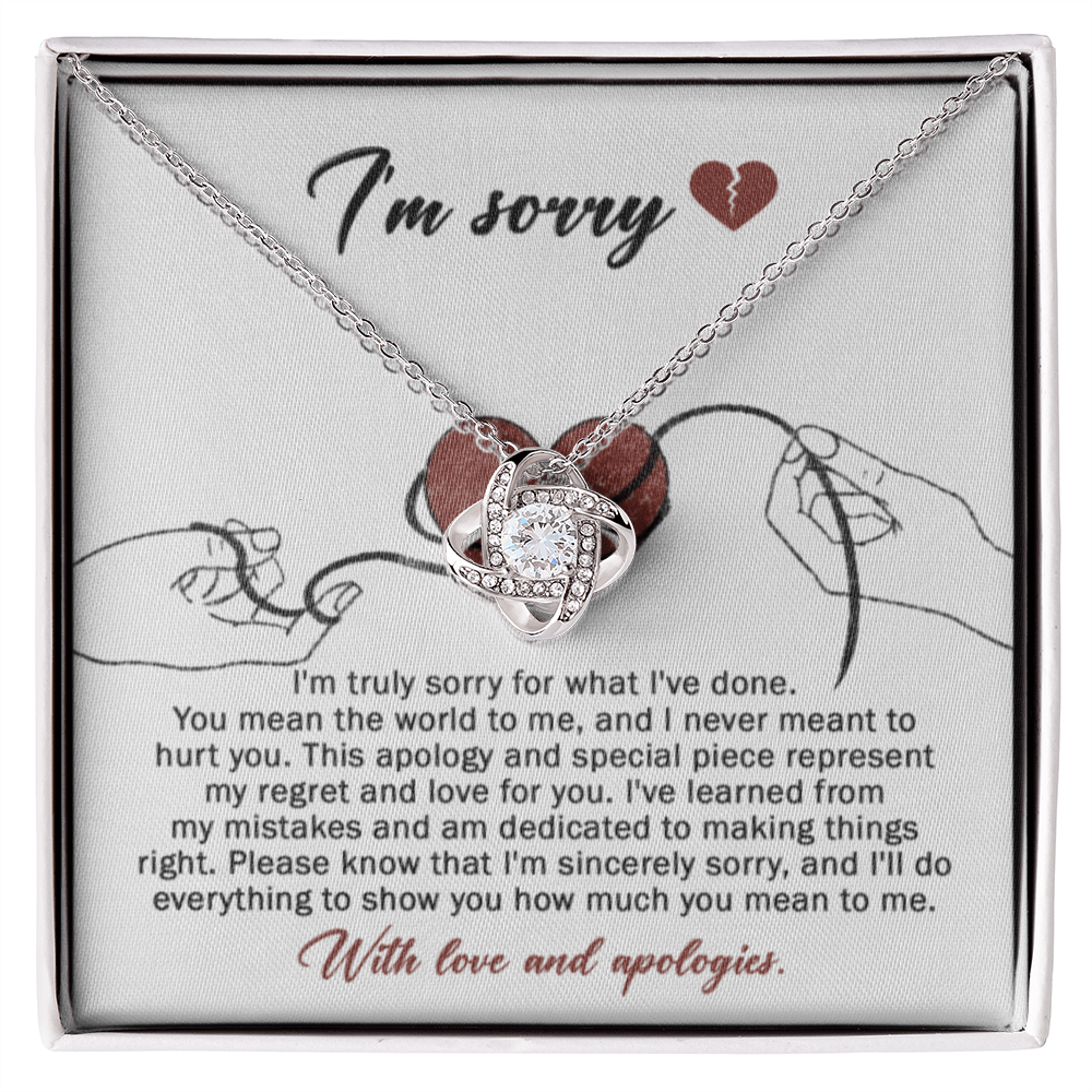 Sorry-Mean The World