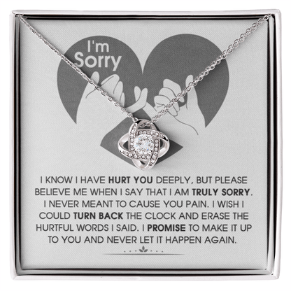 Sorry-Hurtful Words